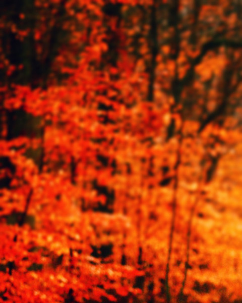 Nature Sunset Background For CB Picsart Photo Editing New