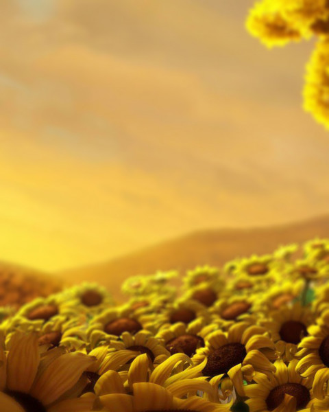 Nature Sunset CB Photo Editing Background Photoshop