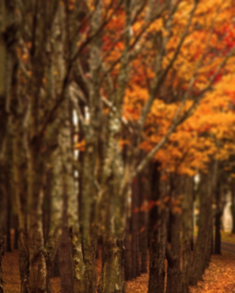 Nature Sunset CB Photo Editing Background Photoshop HD