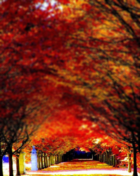 Nature Sunset CB Photo Editing Background Photoshop Photos