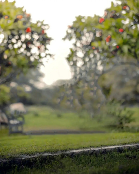 Nature Viral HD Editing Background For NSB Pictures