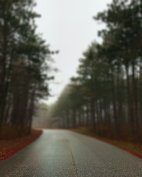 Nature With Road Editing CB Background Download Full HD