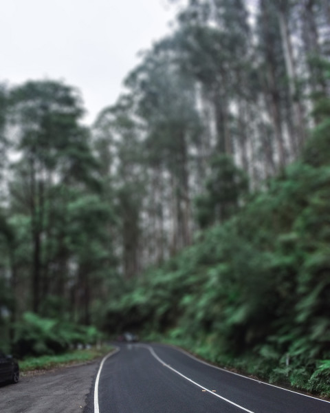 Nature With Road Editing CB Background Download Pics