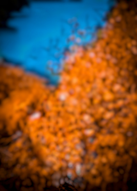 New CB Background For Picsart Blur Editing HD