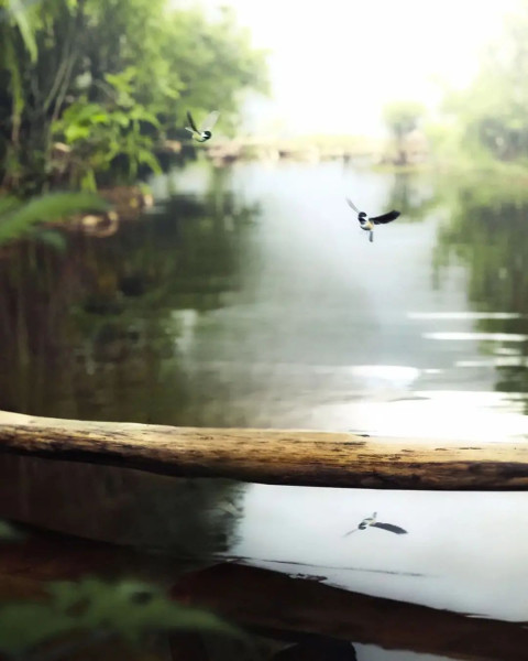 New Instagram CB Viral Nature Wallpapers Edit Background
