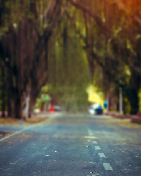 New Instagram CB Viral Park Wallpapers Edit Background