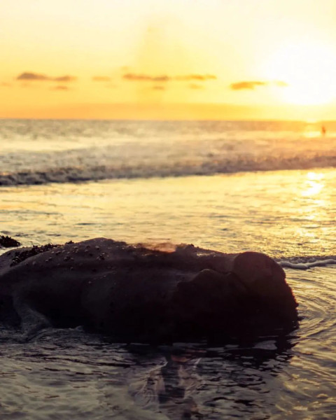 New Instagram CB Viral Sunset Wallpapers Edit Background