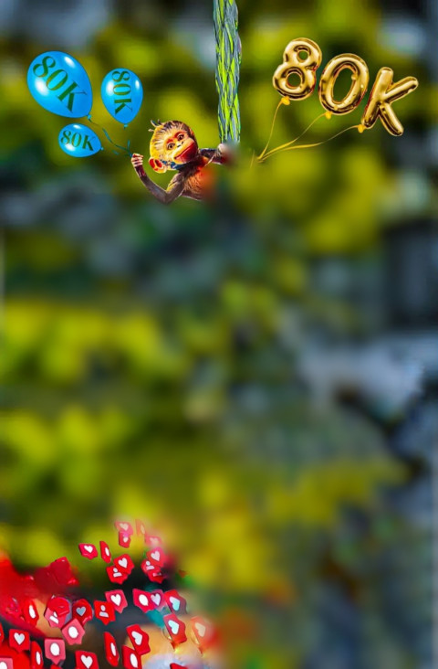 New Monkey Creative Editing HD Background For Photoshop