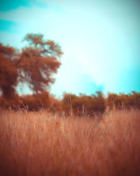 New Photo Editing Viral Background Download