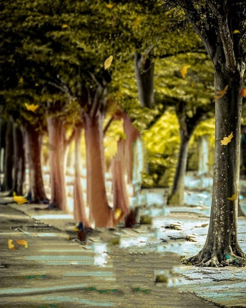 New Picsart Background Free Download Hd