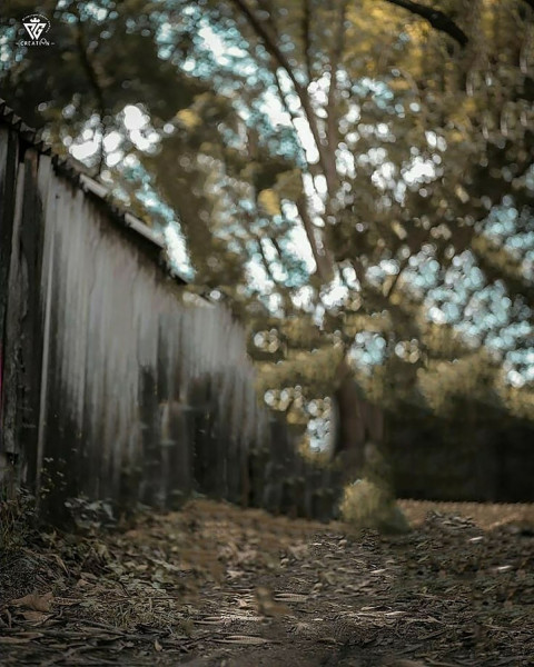 New Snapseed Background For Picsart Cb Editing