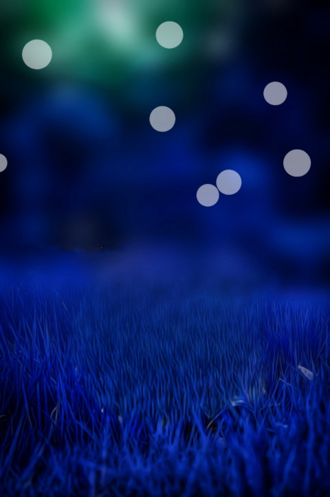 New Viral PicsArt Bokeh Background HD For Photo Editing