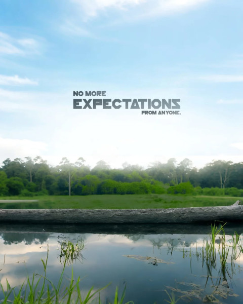 No More Experimance Editing Nature Background Hd