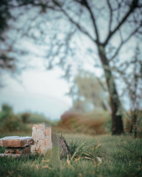 Nsb Picture Photo Editing Background for CB Picsart