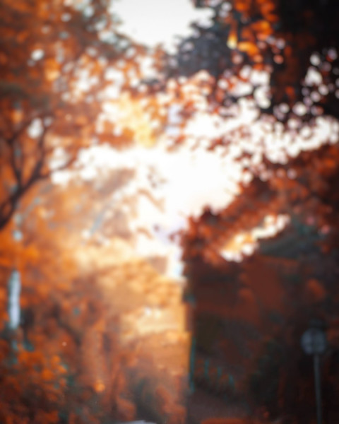 NSB Pictures Background For Blur Forest CB Editing