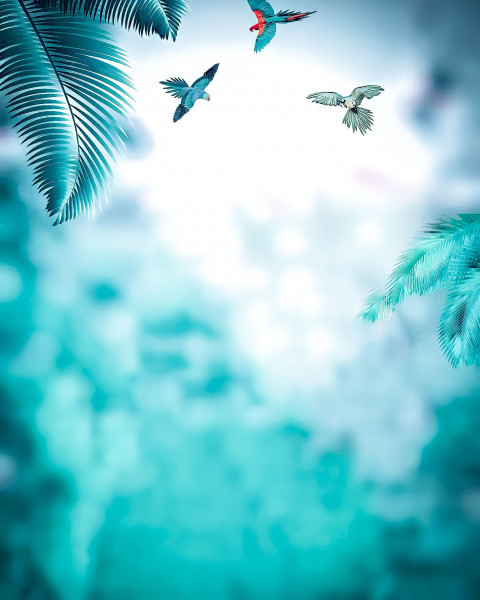 Parrot CB Editing PicsArt HD Background Download