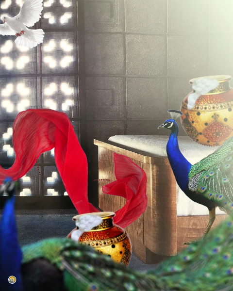 Peacock Photo Editing Background For CB PicsArt