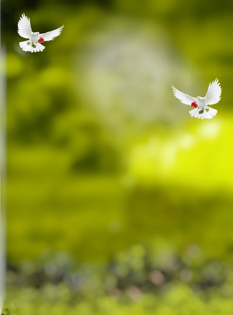 Peasion Photoshop HD Photo Editing Background Download