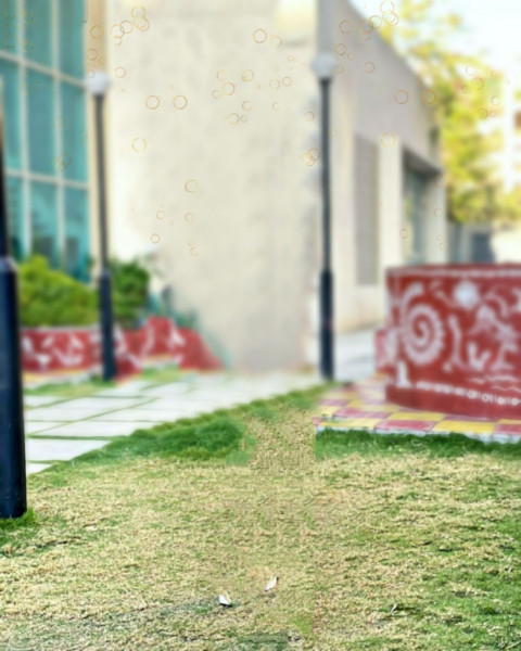 Photo Editing Background HD For Picsart