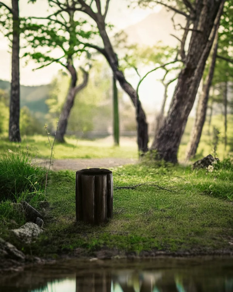 Photo Editing Blur Nature Tree Background Design