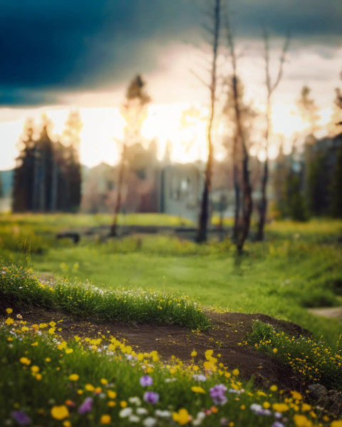 Photo Editing Colorful Nature Blur Background Design