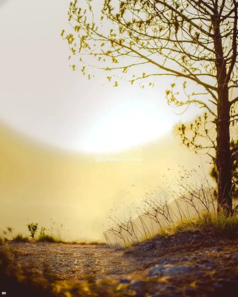 Photo Editing New Background Download Free Ultra