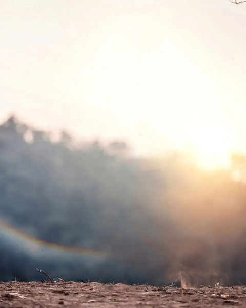 Photoshop Editing Viral BAckground New