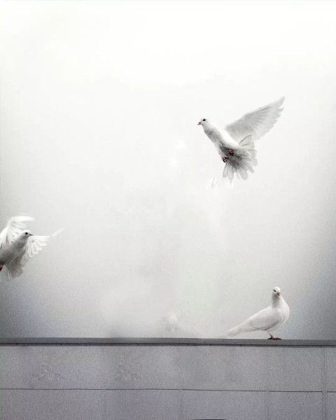 Photoshop Editing Viral BAckground New Ultra