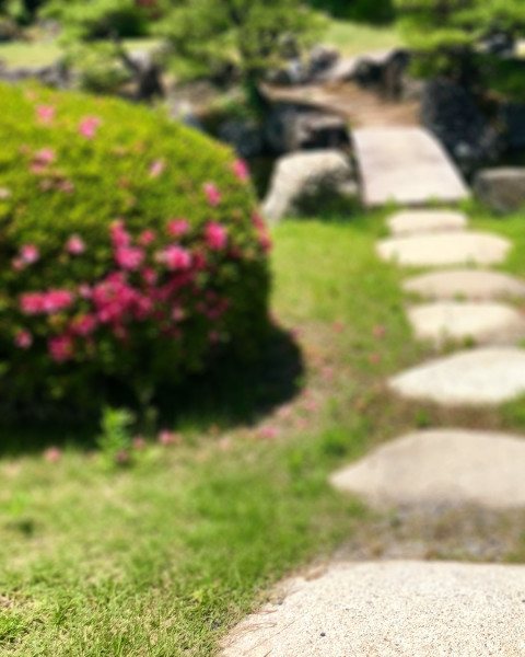 Photoshop Garden Photo Editing CB Background