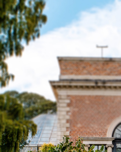 Photoshop Garden Photo Editing CB Background New