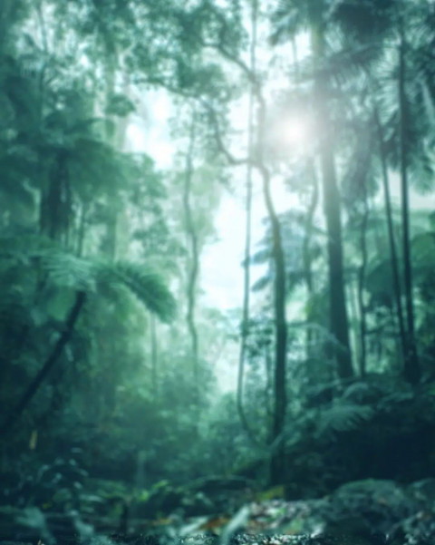 Photoshop HD Forset Background Download For CB Editing