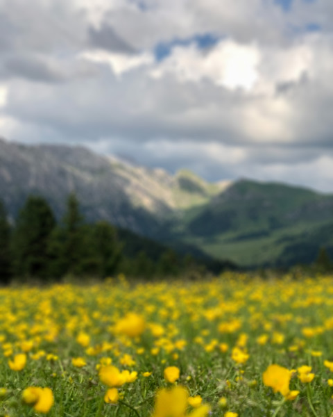 Photoshop Nature Background For CB Picsart Editing Free