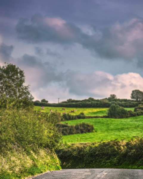 Photoshop Nature Blur CB Editing Background Download HD