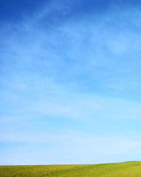 Photoshop Nature Blur CB Editing Background Download Pics