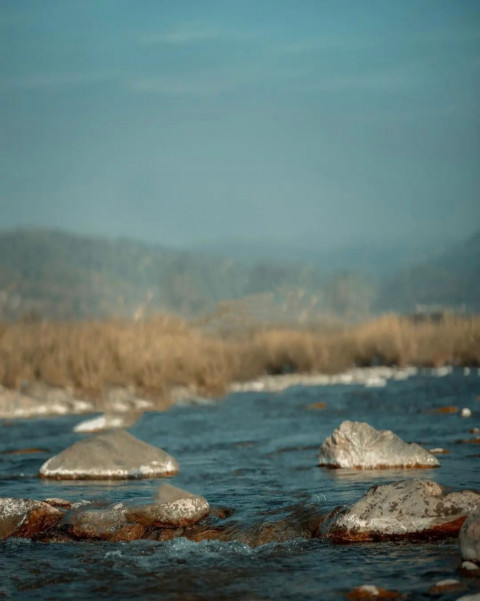 Photoshop Photo Editing Nature CB Background