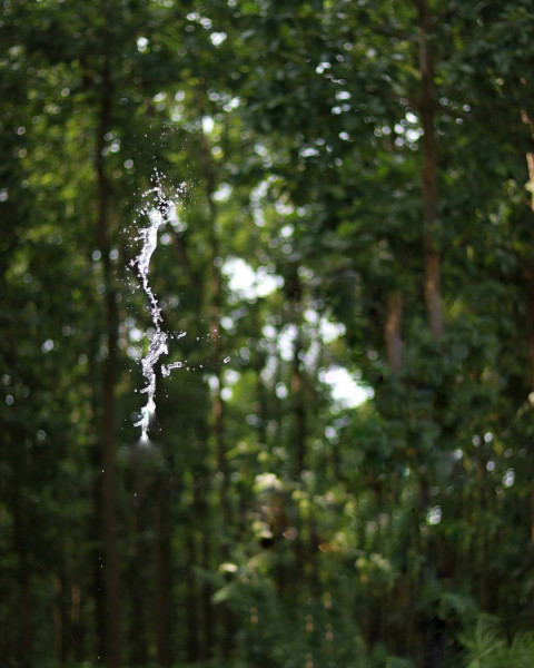 Picsart Background HD Download Free For Editing