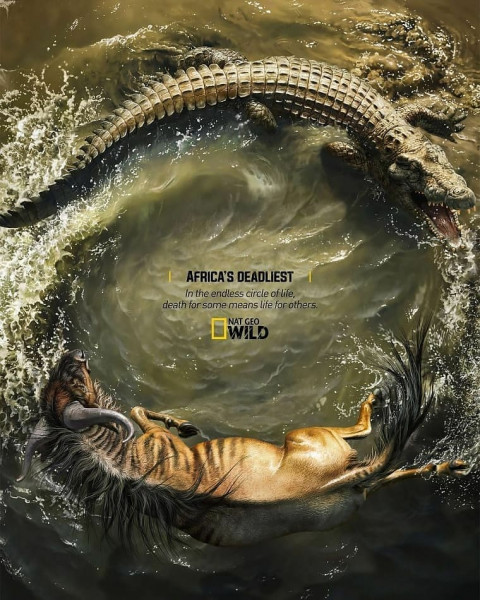 Picsart Background HD For Photo Editing