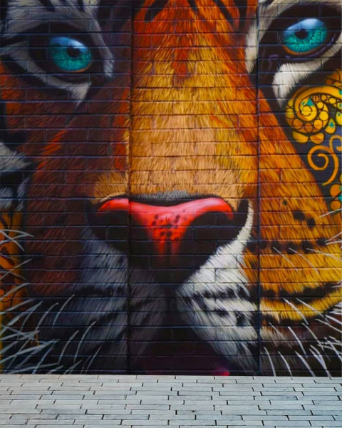 Picsart Background Viral Photo Editing For Photoshop