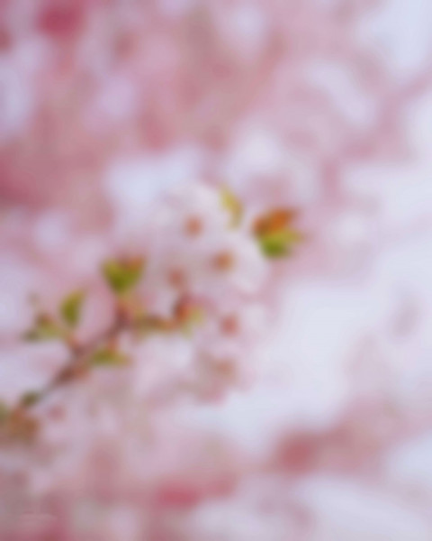 Picsart Blur Editing Background Free Download