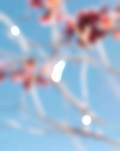 Picsart Blur Editing Background Free Download Pic