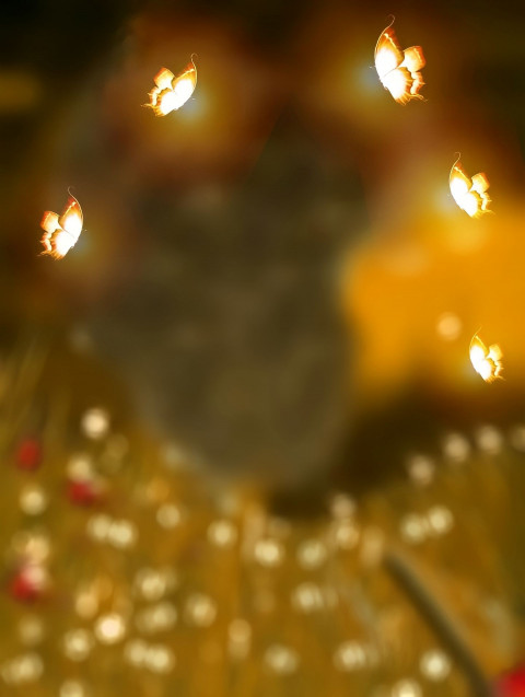 PicsArt Butterfly Background Download Full HD For Photo Editing