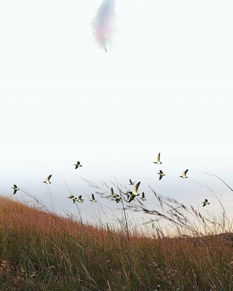 PicsArt Cb Background Download Full Hd