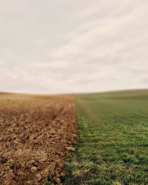 PicsArt Cb Background Download Full Hd