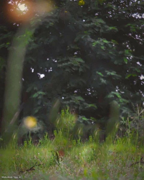 Picsart CB Edit Background For Editing