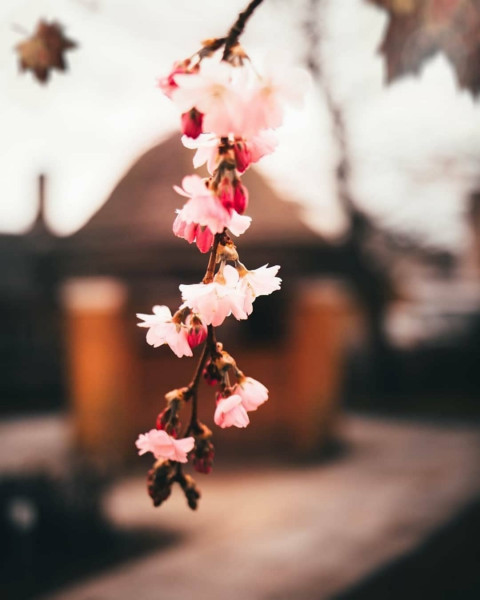 PicsArt CB Editing Background HD Download Free