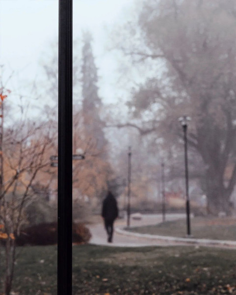 PicsArt CB Forset Background Download Full HD