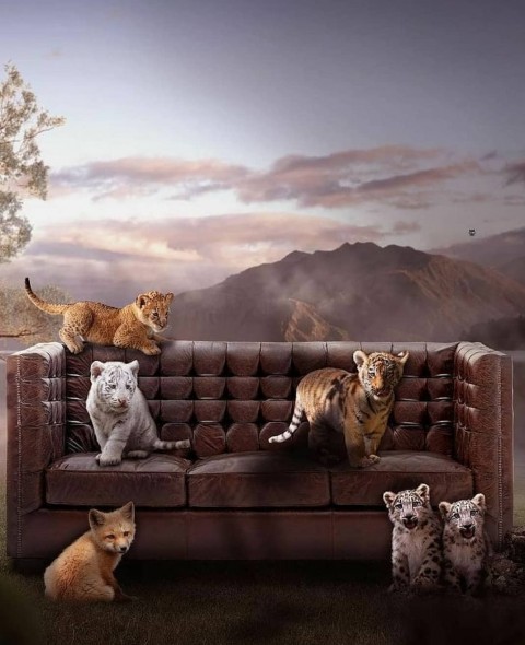 Picsart Editing Background Full HD