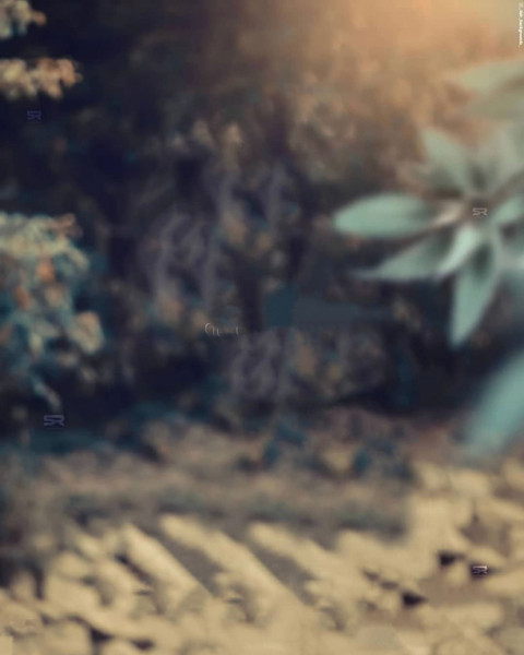 Picsart Editing Background HD Download For Snapseed