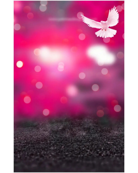 PicsArt Editing CB Birds Background Download HD
