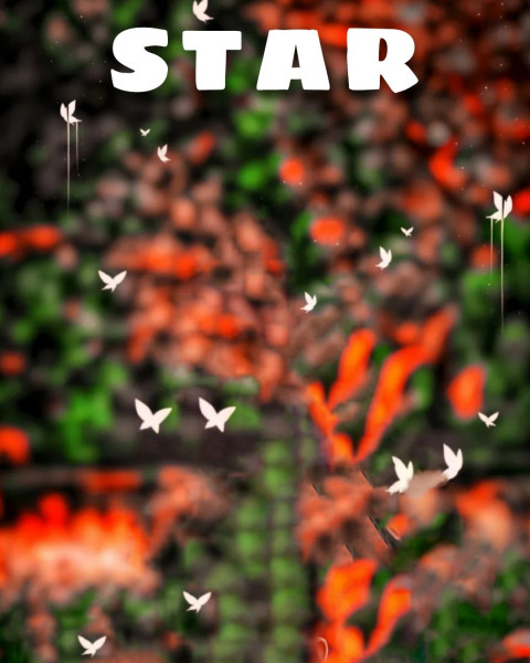 PicsArt HD Star Background For Photoshop Photo Editing